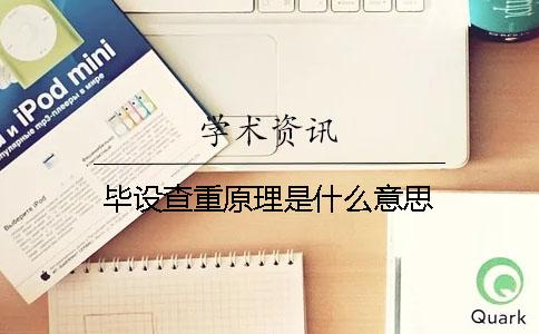 毕设查重原理是什么意思