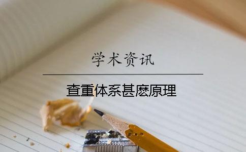 查重体系甚麽原理