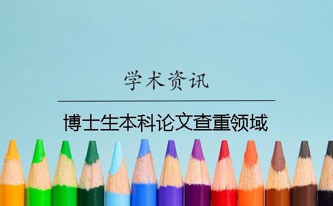 博士生本科论文查重领域