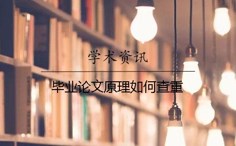 毕业论文原理如何查重